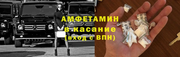 ПСИЛОЦИБИНОВЫЕ ГРИБЫ Арсеньев