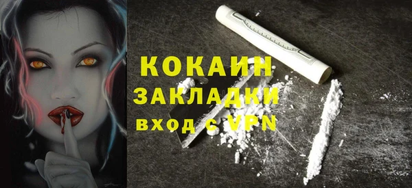 ПСИЛОЦИБИНОВЫЕ ГРИБЫ Арсеньев