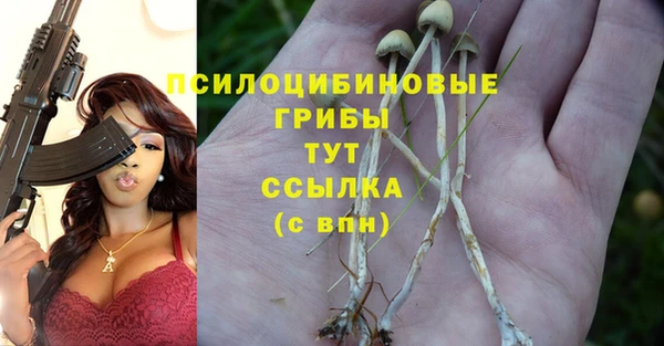 ПСИЛОЦИБИНОВЫЕ ГРИБЫ Арсеньев