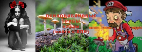 альфа пвп Армянск